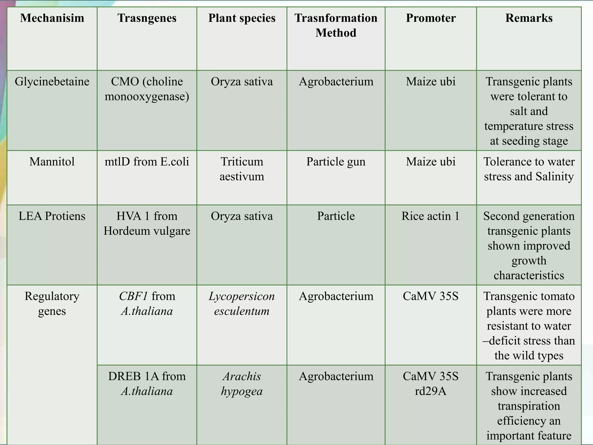 Mechanisim Trasngenes Plant species Trasnformation
Method
Promoter Remarks
Glycinebetaine CMO (choline
monooxygenase)
Oryza sativa Agrobacterium Maize ubi Transgenic plants
were tolerant to
salt and
temperature stress
at seeding stage
Mannitol mtlD from E.coli Triticum
aestivum
Particle gun Maize ubi Tolerance to water
stress and Salinity
LEA Protiens HVA 1 from
Hordeum vulgare
Oryza sativa Particle Rice actin 1 Second generation
transgenic plants
shown improved
growth
characteristics
Regulatory
genes
CBF1 from
A.thaliana
Lycopersicon
esculentum
Agrobacterium CaMV 35S Transgenic tomato
plants were more
resistant to water
–deficit stress than
the wild types
DREB 1A from
A.thaliana
Arachis
hypogea
Agrobacterium CaMV 35S
rd29A
Transgenic plants
show increased
transpiration
efficiency an
important feature
 
