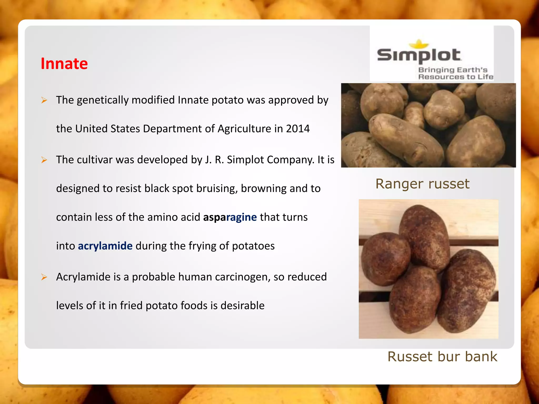 Innate
 The genetically modified Innate potato was approved by
the United States Department of Agriculture in 2014
 The cultivar was developed by J. R. Simplot Company. It is
designed to resist black spot bruising, browning and to
contain less of the amino acid asparagine that turns
into acrylamide during the frying of potatoes
 Acrylamide is a probable human carcinogen, so reduced
levels of it in fried potato foods is desirable
Ranger russet
Russet bur bank
 