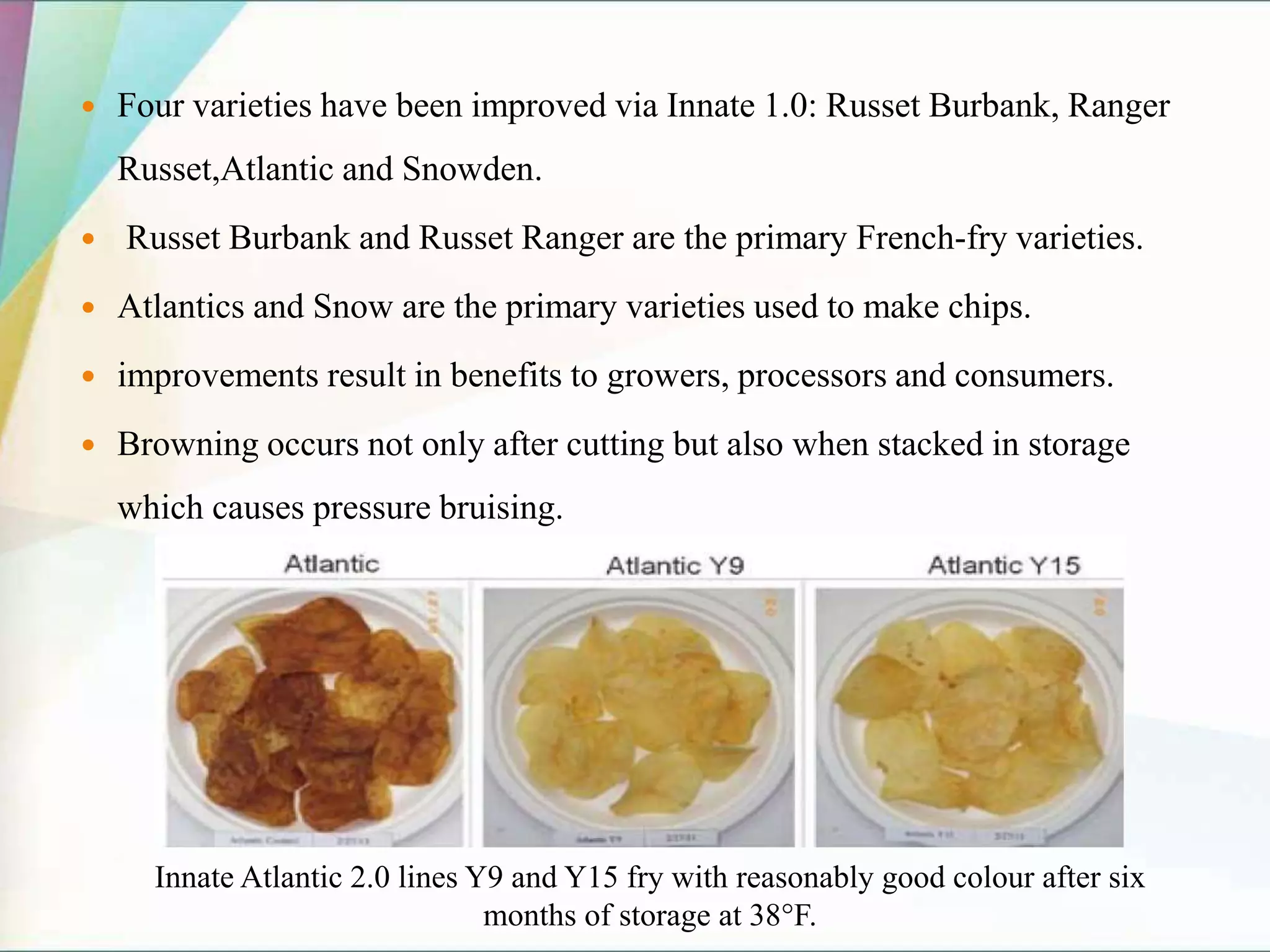  Four varieties have been improved via Innate 1.0: Russet Burbank, Ranger
Russet,Atlantic and Snowden.
 Russet Burbank and Russet Ranger are the primary French-fry varieties.
 Atlantics and Snow are the primary varieties used to make chips.
 improvements result in benefits to growers, processors and consumers.
 Browning occurs not only after cutting but also when stacked in storage
which causes pressure bruising.
Innate Atlantic 2.0 lines Y9 and Y15 fry with reasonably good colour after six
months of storage at 38°F.
 