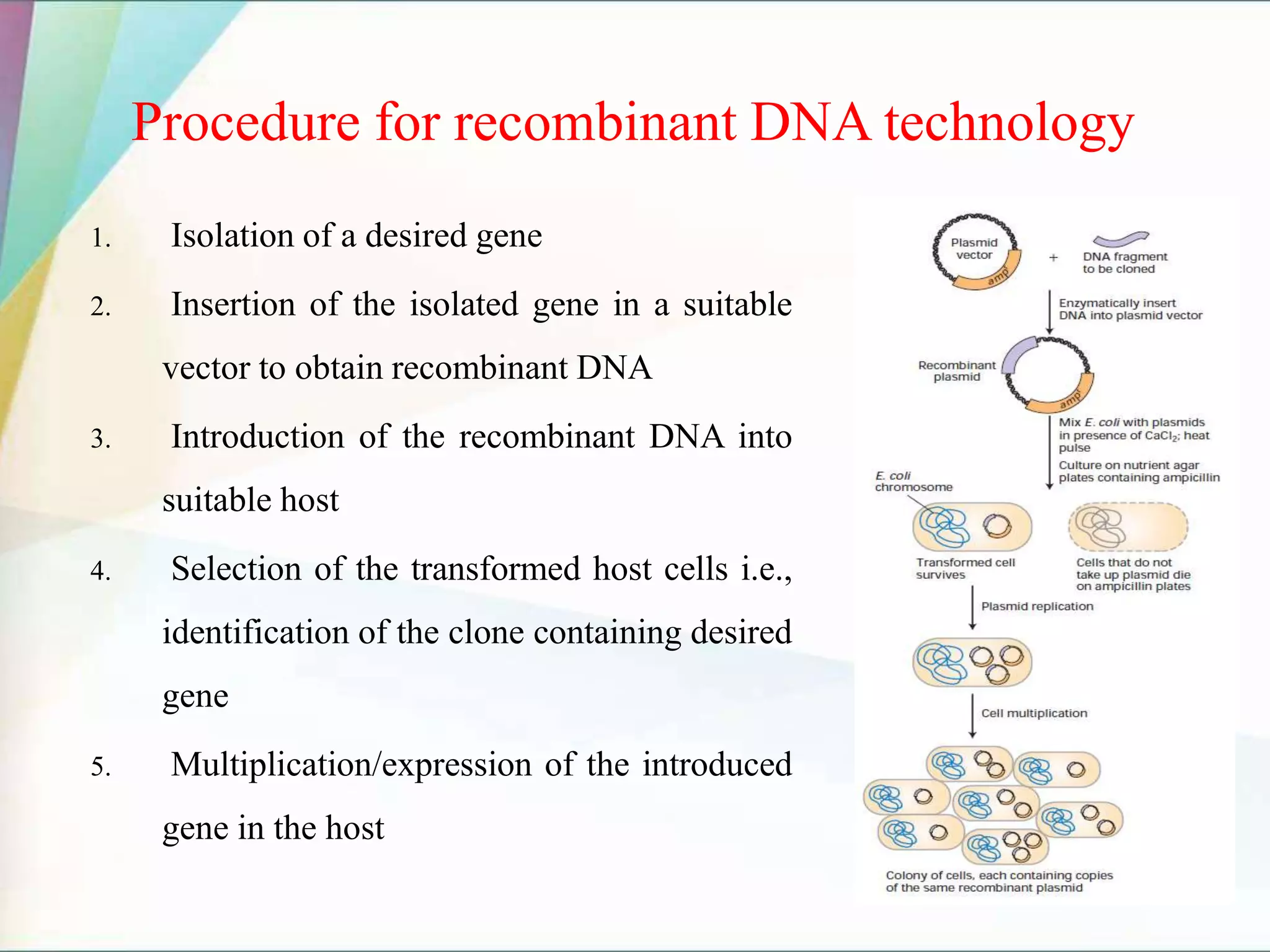 Procedure for recombinant DNA technology
1. Isolation of a desired gene
2. Insertion of the isolated gene in a suitable
vector to obtain recombinant DNA
3. Introduction of the recombinant DNA into
suitable host
4. Selection of the transformed host cells i.e.,
identification of the clone containing desired
gene
5. Multiplication/expression of the introduced
gene in the host
 