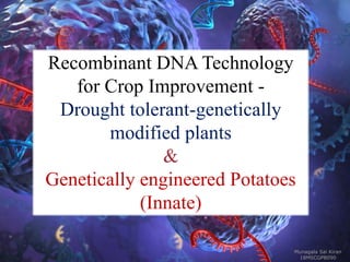 Recombinant DNA Technology
for Crop Improvement -
Drought tolerant-genetically
modified plants
&
Genetically engineered Potatoes
(Innate)
Munagala Sai Kiran
18MSCGPB090
 