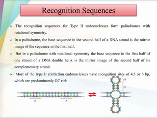 Recombinant DNA technology for Crop improvement | PPTX