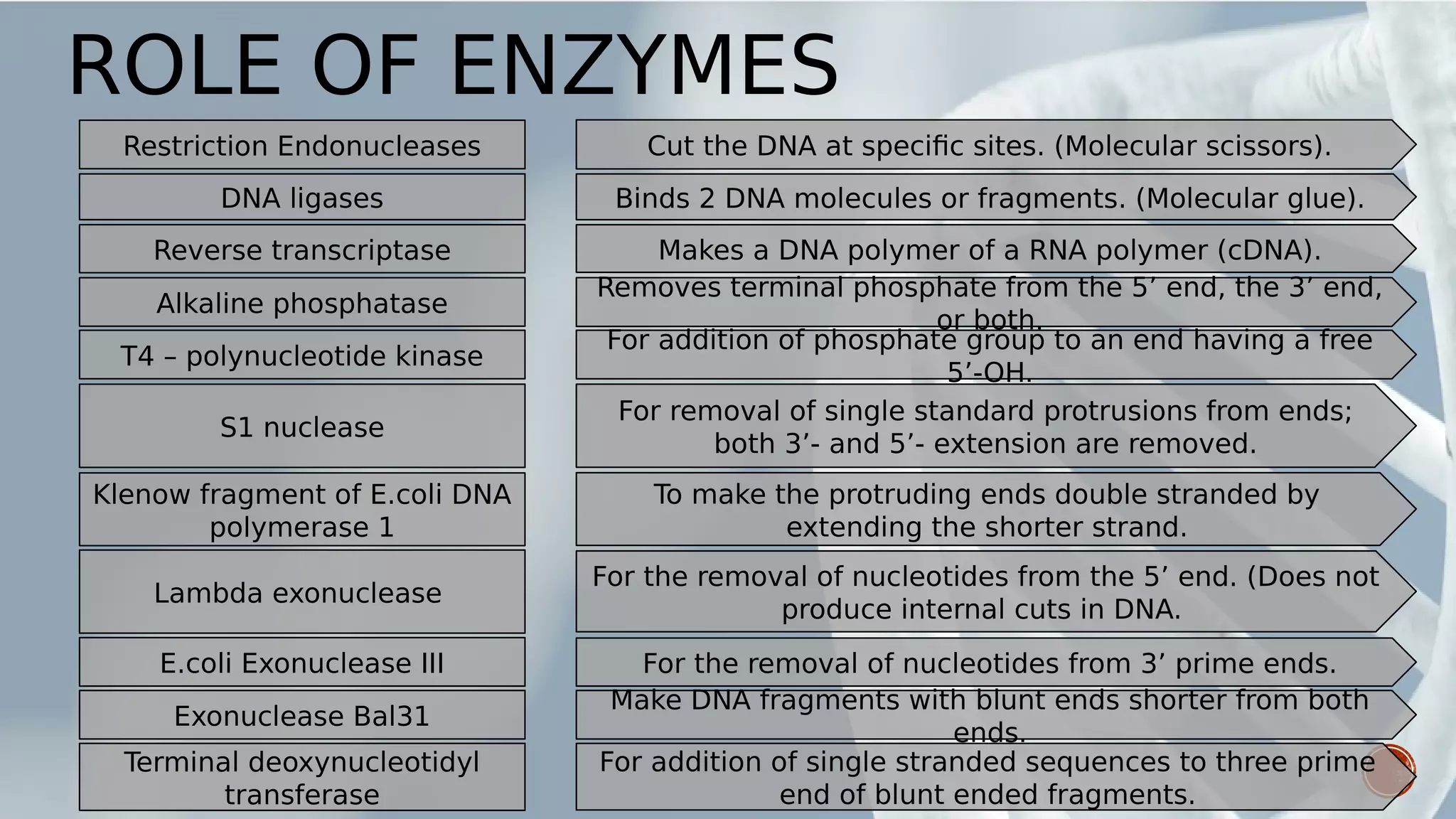 ROLE OF ENZYMES
DNA ligases
Exonuclease Bal31
Klenow fragment of E.coli DNA
polymerase 1
E.coli Exonuclease III
S1 nuclease
Alkaline phosphatase
Restriction Endonucleases
Reverse transcriptase
Terminal deoxynucleotidyl
transferase
T4 – polynucleotide kinase
Lambda exonuclease
Cut the DNA at specific sites. (Molecular scissors).
Binds 2 DNA molecules or fragments. (Molecular glue).
Makes a DNA polymer of a RNA polymer (cDNA).
Removes terminal phosphate from the 5’ end, the 3’ end,
or both.
For addition of phosphate group to an end having a free
5’-OH.
For removal of single standard protrusions from ends;
both 3’- and 5’- extension are removed.
To make the protruding ends double stranded by
extending the shorter strand.
For the removal of nucleotides from the 5’ end. (Does not
produce internal cuts in DNA.
For the removal of nucleotides from 3’ prime ends.
Make DNA fragments with blunt ends shorter from both
ends.
For addition of single stranded sequences to three prime
end of blunt ended fragments.
 