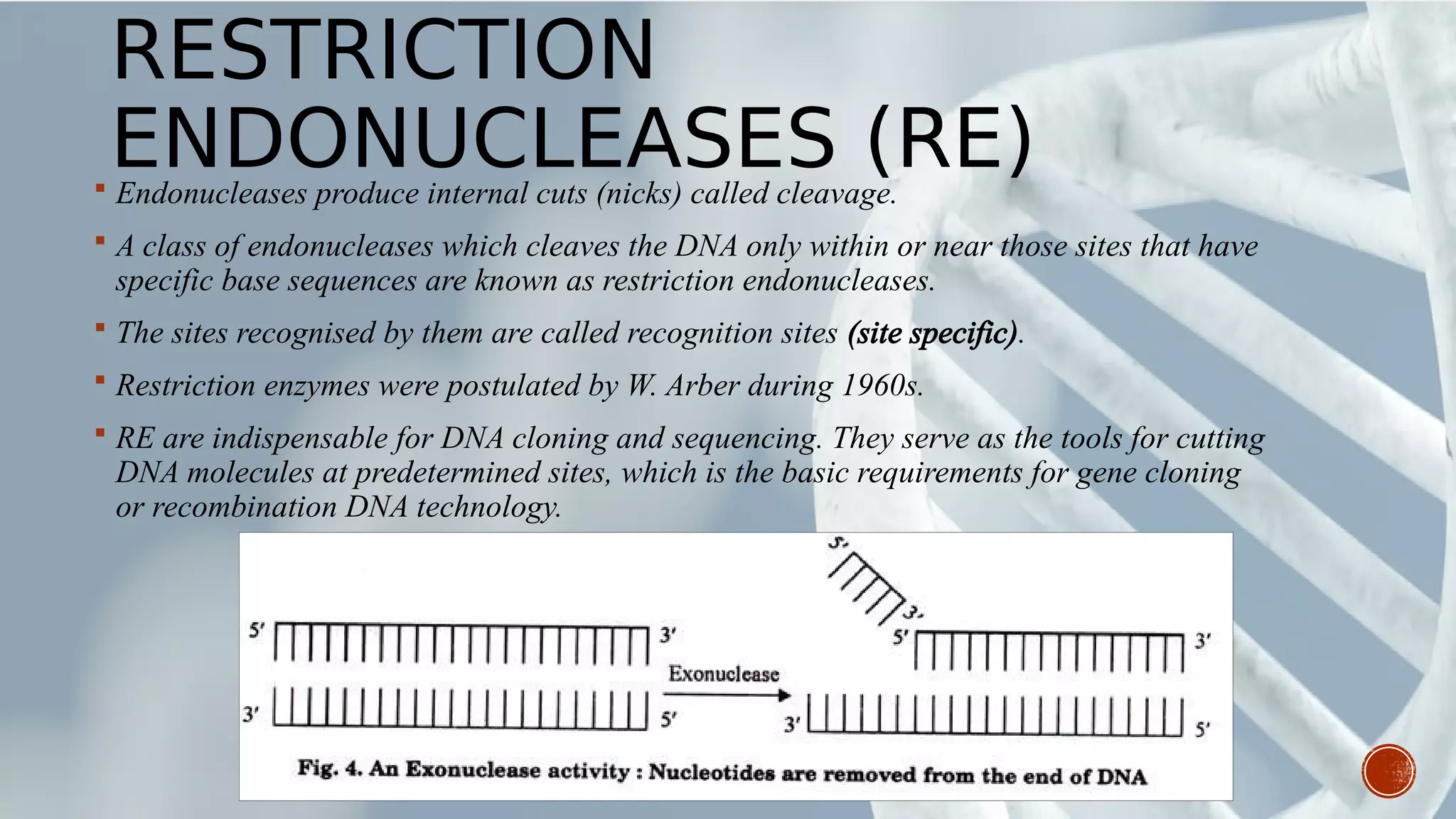 RESTRICTION
ENDONUCLEASES (RE) Endonucleases produce internal cuts (nicks) called cleavage.
 A class of endonucleases which cleaves the DNA only within or near those sites that have
specific base sequences are known as restriction endonucleases.
 The sites recognised by them are called recognition sites (site specific).
 Restriction enzymes were postulated by W. Arber during 1960s.
 RE are indispensable for DNA cloning and sequencing. They serve as the tools for cutting
DNA molecules at predetermined sites, which is the basic requirements for gene cloning
or recombination DNA technology.
 