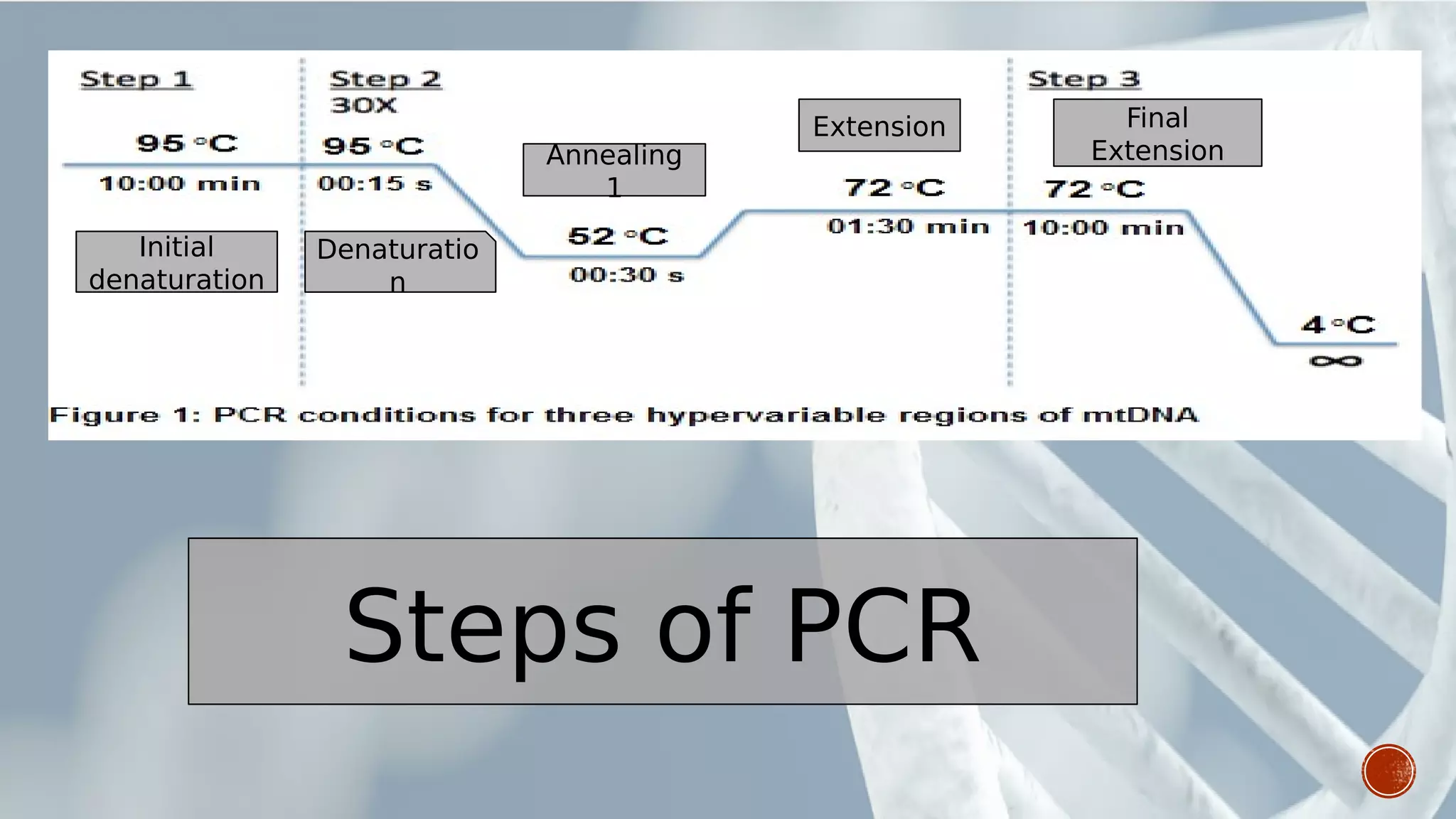 Annealing
1
Extension Final
Extension
Initial
denaturation
Denaturatio
n
Steps of PCR
 