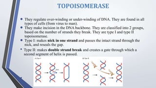 TOPOISOMERASE
 They regulate over-winding or under-winding of DNA. They are found in all
types of cells (from virus to man).
 They make incision in the DNA backbone. They are classified into 2 groups,
based on the number of strands they break. They are type I and type II
topoisomerase.
 Type I: makes nick in one strand and passes the intact strand through the
nick, and reseals the gap.
• Type II: makes double strand break and creates a gate through which a
second segment of helix is passed.
•
 