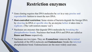 Restriction enzymes
• Gene cloning requires that DNA molecules be cut in a very precise and
reproducible fashion to insert the new DNA.
• Host-controlled restriction: Some strains of bacteria degrade the foreign DNA
by cleaving its DNA at specific sites by an enzyme before it takes time to
replicate. (The verb restricts means ‘cut’)
• Nucleases are enzymes that degrade DNA molecules by breaking the
phosphodiester bonds. Nucleases that break RNA and DNA are called as
Rnase and Dnase respectively.
• Nucleases are two types. They are Exonuclease: removes the terminal
nucleotide of the DNA molecule and Endonuclease: breaks the internal
phosphodiester bond. Endonucleases are the most widely used ones.
 