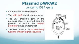 Recombinant growth factor detail explanation .pdf