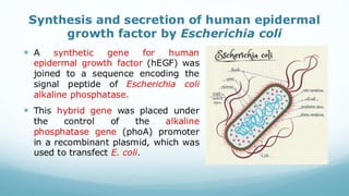 Recombinant growth factor detail explanation .pdf