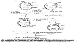 Recombinant growth factor detail explanation .pdf