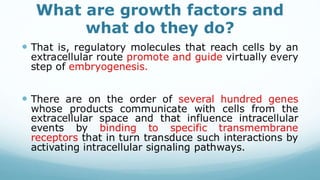 Recombinant growth factor detail explanation .pdf