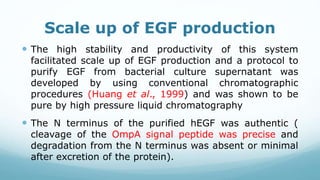 Scale up of EGF production
 The high stability and productivity of this system
facilitated scale up of EGF production and a protocol to
purify EGF from bacterial culture supernatant was
developed by using conventional chromatographic
procedures (Huang et al., 1999) and was shown to be
pure by high pressure liquid chromatography
 The N terminus of the purified hEGF was authentic (
cleavage of the OmpA signal peptide was precise and
degradation from the N terminus was absent or minimal
after excretion of the protein).
 