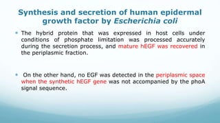 Synthesis and secretion of human epidermal
growth factor by Escherichia coli
 The hybrid protein that was expressed in host cells under
conditions of phosphate limitation was processed accurately
during the secretion process, and mature hEGF was recovered in
the periplasmic fraction.
 On the other hand, no EGF was detected in the periplasmic space
when the synthetic hEGF gene was not accompanied by the phoA
signal sequence.
 