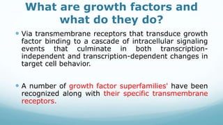 What are growth factors and
what do they do?
 Via transmembrane receptors that transduce growth
factor binding to a cascade of intracellular signaling
events that culminate in both transcription-
independent and transcription-dependent changes in
target cell behavior.
 A number of growth factor superfamilies' have been
recognized along with their specific transmembrane
receptors.
 