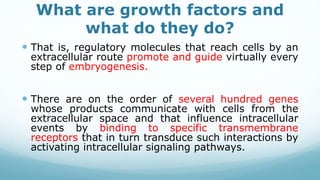 What are growth factors and
what do they do?
 That is, regulatory molecules that reach cells by an
extracellular route promote and guide virtually every
step of embryogenesis.
 There are on the order of several hundred genes
whose products communicate with cells from the
extracellular space and that influence intracellular
events by binding to specific transmembrane
receptors that in turn transduce such interactions by
activating intracellular signaling pathways.
 