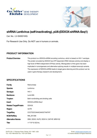 shRNA Lentivirus (self-inactivating), pU6-(DDX3X-shRNA-Seq1)
Cat. No.: LV-SI0001WQ
For Research Use Only. Do NOT use in humans or animals.
PRODUCT INFORMATION
ProductOverview This product is a DDX3X-shRNA encoding Lentivirus, which is based on HIV-1 serotype.
The protein encoded by DDX3X has ATP-dependent RNA helicase activity and display a
high level of RNA-independent ATPase activity. Misregulation of this gene has been
implicated in tumorigenesis and alternative splicing results in multiple transcript variants.
The expression of DDX3X-shRNA leads to target gene silencing and this product can be
used in gene therapy research and development.
SPECIFICATIONS
Family Retroviridae
Species Lentivirus
Serotype HIV-1
Backbone Lenti-SIN
Tropism Both nondividing and dividing cells
Insert DDX3X-shRNA-Seq1
RelatedTarget/Protein DDX3X
Region 3UTR
TargetSeq CCCTGCCAAACAAGCTAATAT
NCBIRefSeq NM_001356
AlternativeNames DBX; DDX3; HLP2; DDX14; CAP-Rf; MRX102
Titer >1*10^10 GC/mL
SUITE 203, 17 Ramsey Road, Shirley, NY 11967, USA Email: info@creative-biolabs.com
Tel: 1-631-466-5530 Fax: 1-631-207-8356 © Creative Biolabs All Rights Reserved
Page 1 of 2
 
