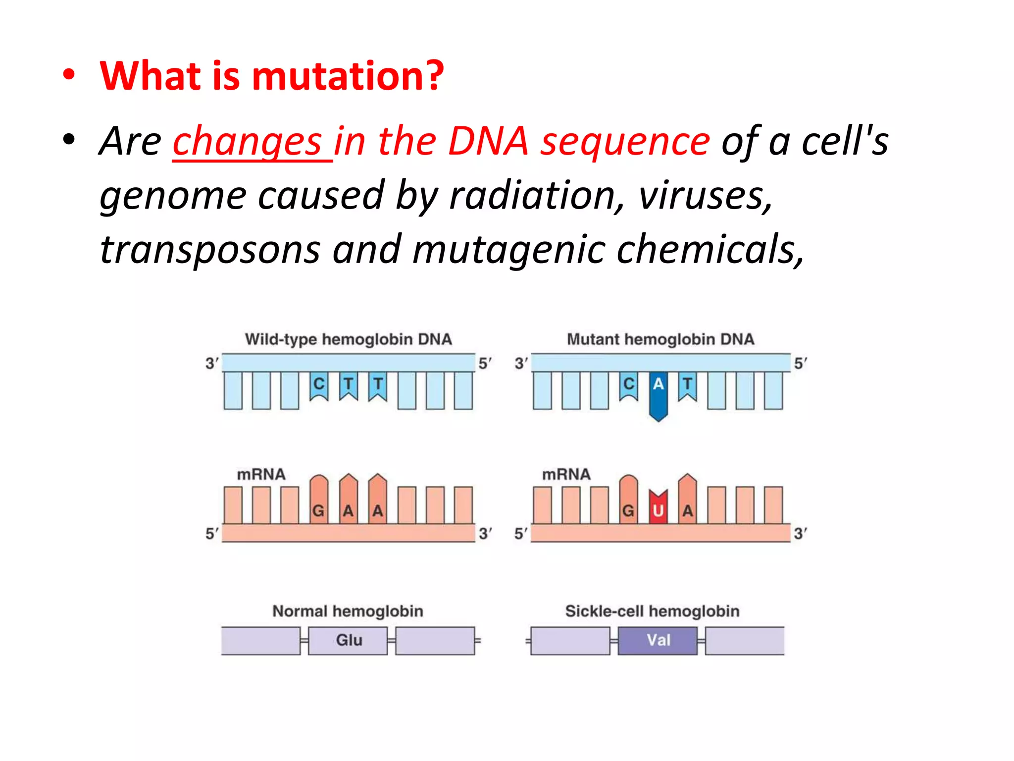 • What is mutation?
• Are changes in the DNA sequence of a cell's
genome caused by radiation, viruses,
transposons and mutagenic chemicals,
 
