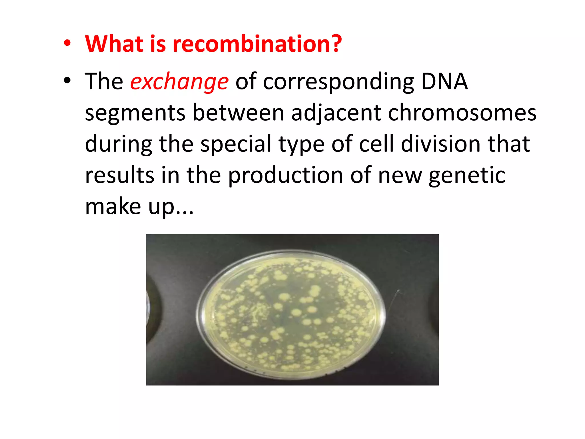 • What is recombination?
• The exchange of corresponding DNA
segments between adjacent chromosomes
during the special type of cell division that
results in the production of new genetic
make up...
 