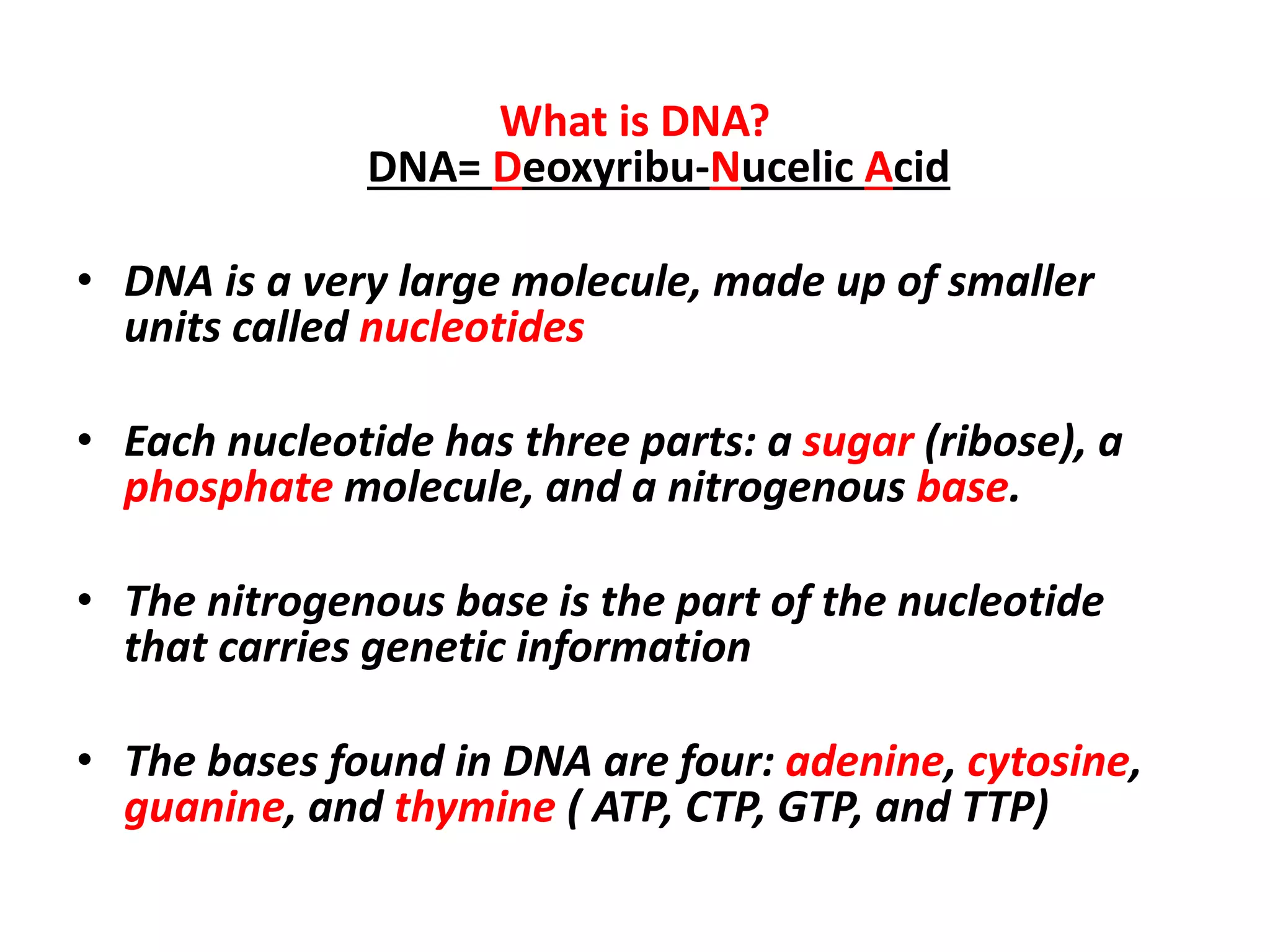 What is DNA?
DNA= Deoxyribu-Nucelic Acid
• DNA is a very large molecule, made up of smaller
units called nucleotides
• Each nucleotide has three parts: a sugar (ribose), a
phosphate molecule, and a nitrogenous base.
• The nitrogenous base is the part of the nucleotide
that carries genetic information
• The bases found in DNA are four: adenine, cytosine,
guanine, and thymine ( ATP, CTP, GTP, and TTP)
 