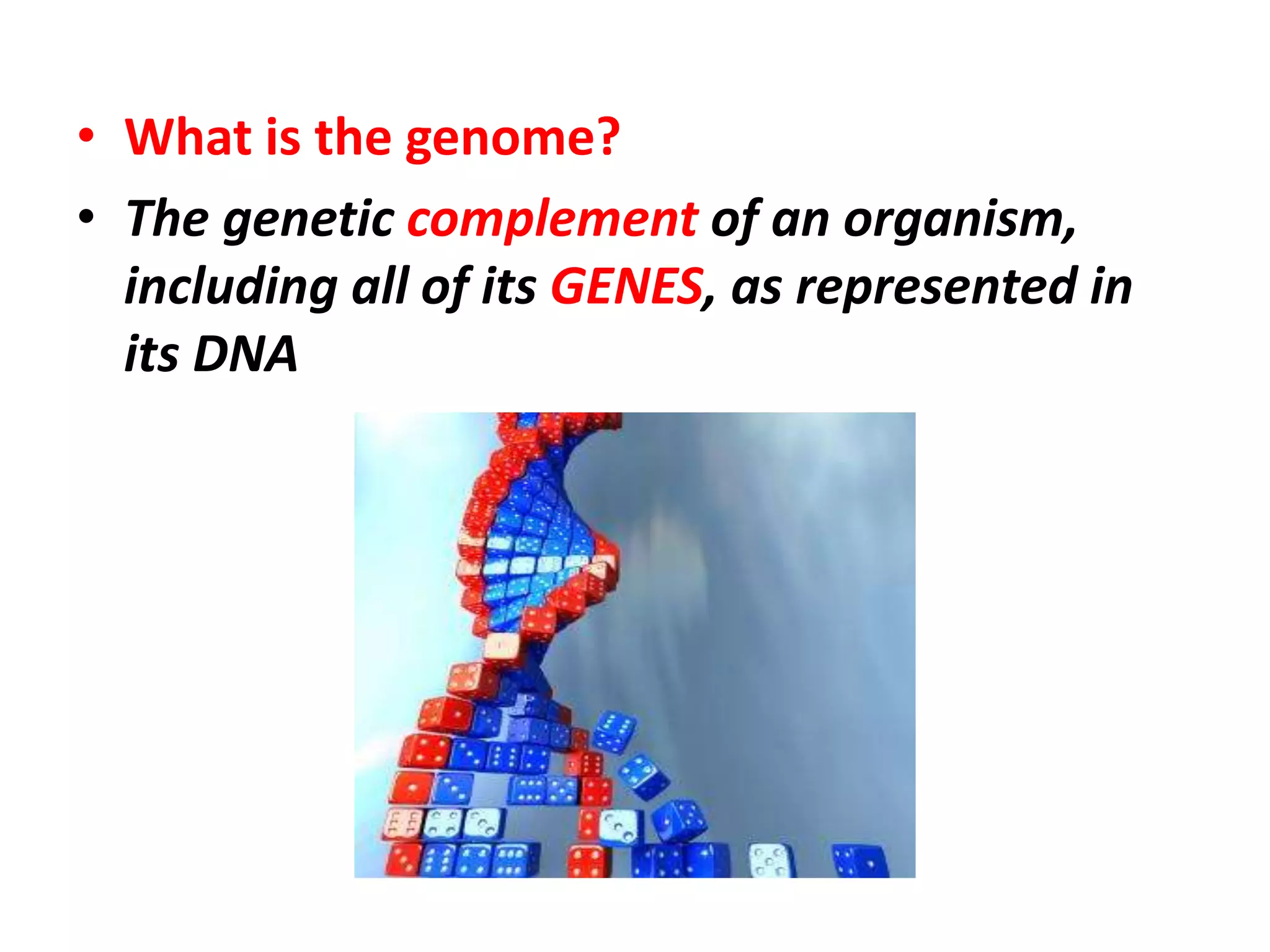 • What is the genome?
• The genetic complement of an organism,
including all of its GENES, as represented in
its DNA
 