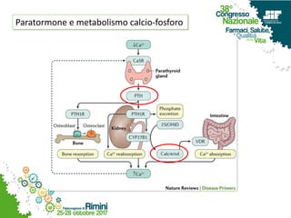Paratormone e metabolismo calcio-fosforo
 