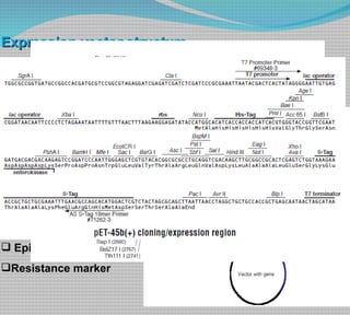 Expression vector structure Promoter-transcription initiation Stop codon Localization signals Codon usage polyA signal Fusion partners Stable/inducible  expression Control of copy number Episomal/integrating Resistance marker 