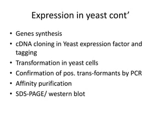 Expression in yeast cont’
• Genes synthesis
• cDNA cloning in Yeast expression factor and
  tagging
• Transformation in yeast cells
• Confirmation of pos. trans-formants by PCR
• Affinity purification
• SDS-PAGE/ western blot
 