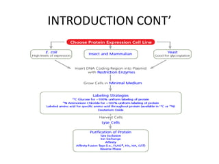 INTRODUCTION CONT’
 