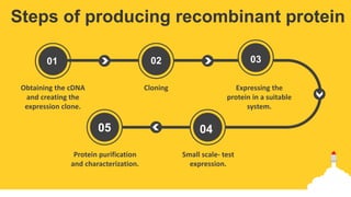 Recombinant protein through fermentation technology | PPTX