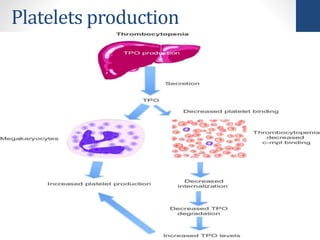 Platelets production
 