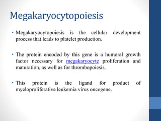 Megakaryocytopoiesis
• Megakaryocytopoiesis is the cellular development
process that leads to platelet production.
• The protein encoded by this gene is a humoral growth
factor necessary for megakaryocyte proliferation and
maturation, as well as for thrombopoiesis.
• This protein is the ligand for product of
myeloproliferative leukemia virus oncogene.
 