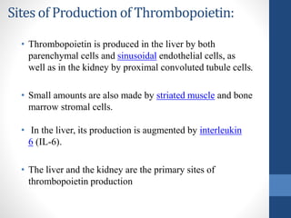 Sites of Production of Thrombopoietin:
• Thrombopoietin is produced in the liver by both
parenchymal cells and sinusoidal endothelial cells, as
well as in the kidney by proximal convoluted tubule cells.
• Small amounts are also made by striated muscle and bone
marrow stromal cells.
• In the liver, its production is augmented by interleukin
6 (IL-6).
• The liver and the kidney are the primary sites of
thrombopoietin production
 