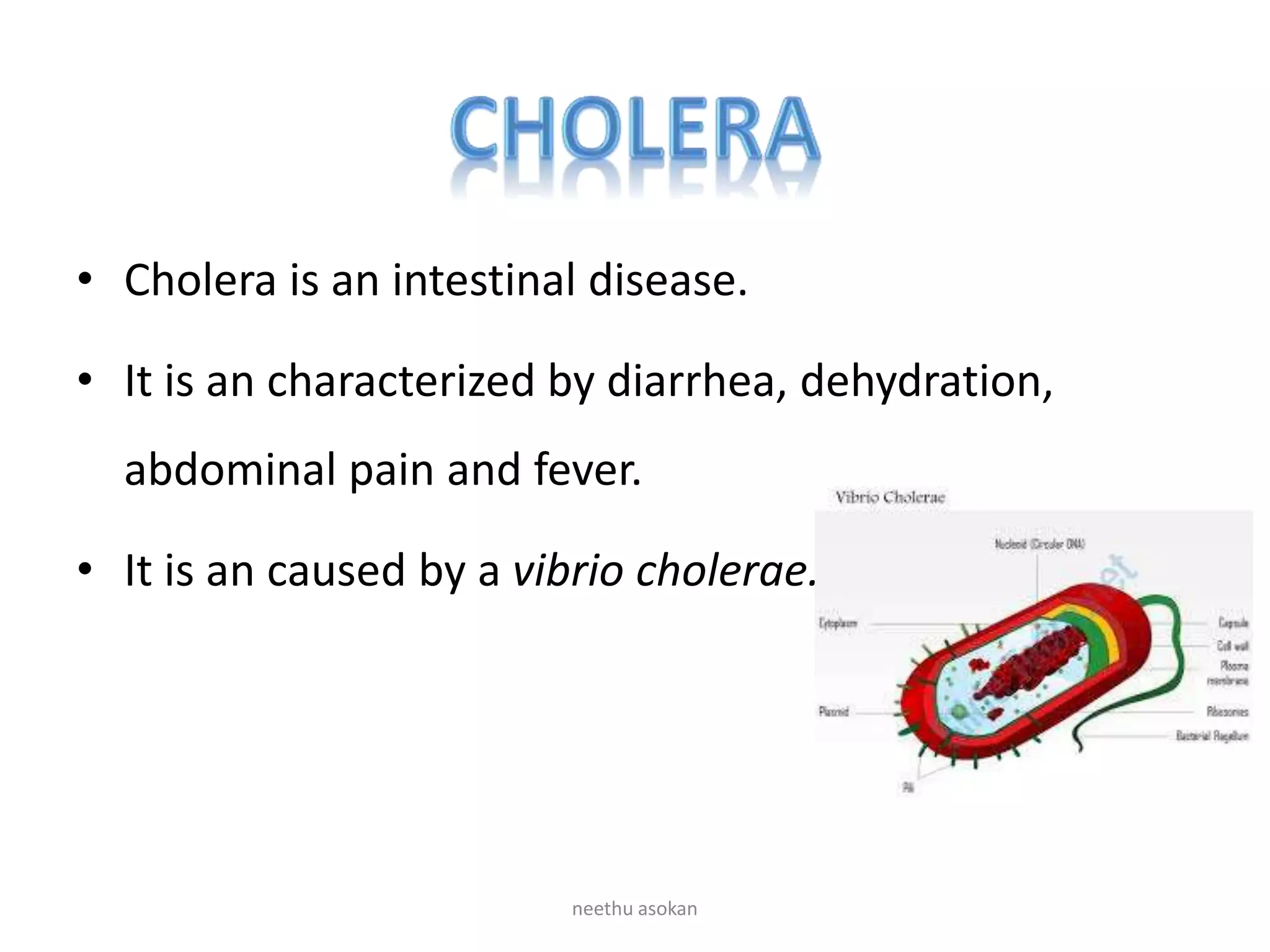 • Cholera is an intestinal disease.
• It is an characterized by diarrhea, dehydration,
abdominal pain and fever.
• It is an caused by a vibrio cholerae.
neethu asokan
 