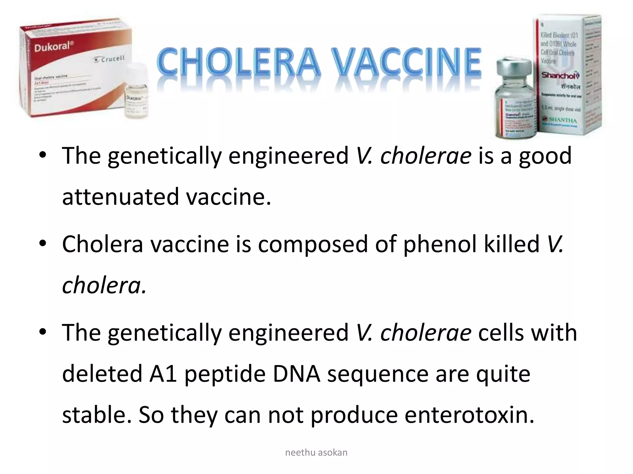• The genetically engineered V. cholerae is a good
attenuated vaccine.
• Cholera vaccine is composed of phenol killed V.
cholera.
• The genetically engineered V. cholerae cells with
deleted A1 peptide DNA sequence are quite
stable. So they can not produce enterotoxin.
neethu asokan
 