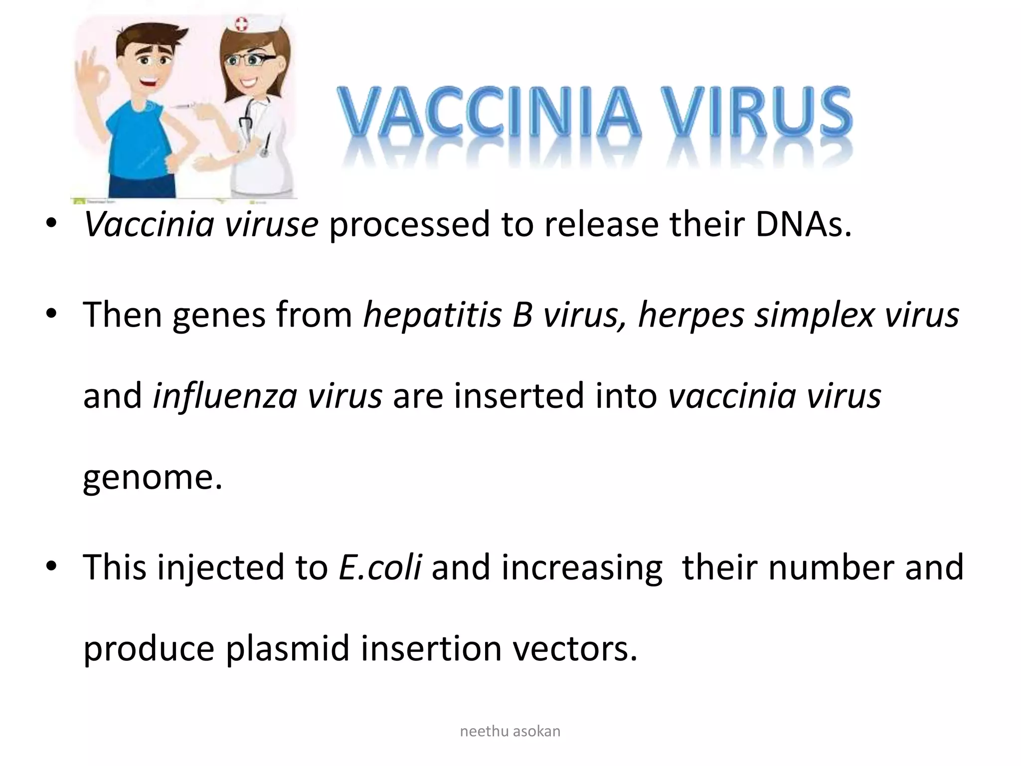 • Vaccinia viruse processed to release their DNAs.
• Then genes from hepatitis B virus, herpes simplex virus
and influenza virus are inserted into vaccinia virus
genome.
• This injected to E.coli and increasing their number and
produce plasmid insertion vectors.
neethu asokan
 