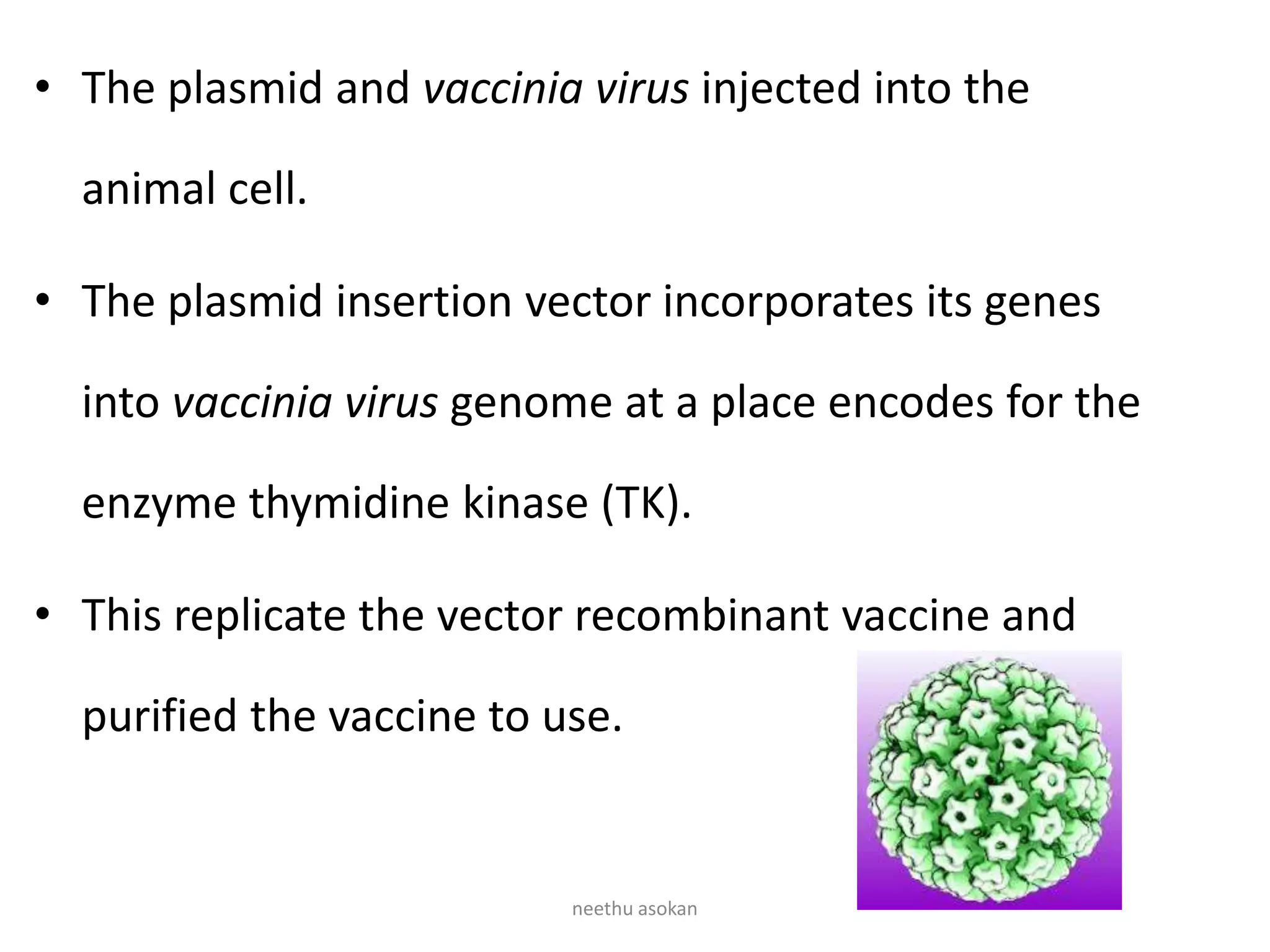 • The plasmid and vaccinia virus injected into the
animal cell.
• The plasmid insertion vector incorporates its genes
into vaccinia virus genome at a place encodes for the
enzyme thymidine kinase (TK).
• This replicate the vector recombinant vaccine and
purified the vaccine to use.
neethu asokan
 