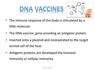 • The immune response of the body is stimulated by a
DNA molecule.
• The DNA vaccine, gene encoding an antigenic protein.
• Inserted onto a plasmid and incorporated to the target
animal cell of the host.
• Antigenic proteins are developed the humoral
immunity or cellular immunity
neethu asokan
 