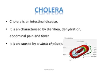 • Cholera is an intestinal disease.
• It is an characterized by diarrhea, dehydration,
abdominal pain and fever.
• It is an caused by a vibrio cholerae.
neethu asokan
 