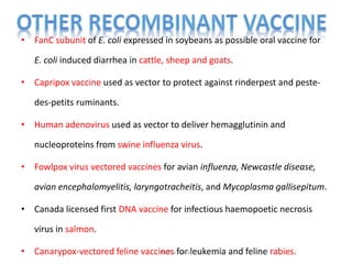• FanC subunit of E. coli expressed in soybeans as possible oral vaccine for
E. coli induced diarrhea in cattle, sheep and goats.
• Capripox vaccine used as vector to protect against rinderpest and peste-
des-petits ruminants.
• Human adenovirus used as vector to deliver hemagglutinin and
nucleoproteins from swine influenza virus.
• Fowlpox virus vectored vaccines for avian influenza, Newcastle disease,
avian encephalomyelitis, laryngotracheitis, and Mycoplasma gallisepitum.
• Canada licensed first DNA vaccine for infectious haemopoetic necrosis
virus in salmon.
• Canarypox-vectored feline vaccines for leukemia and feline rabies.neethu asokan
 