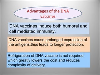 DNA vaccines induce both humoral and
cell mediated immunity.
DNA vaccines cause prolonged expression of
the antigens,thus leads to longer protection.
Refrigeration of DNA vaccine is not required
which greatly lowers the cost and reduces
complexity of delivery.
Advantages of the DNA
vaccines
 