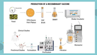 Recombinant vaccines | PPTX