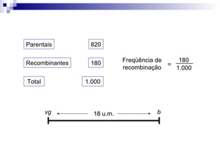 820 Parentais Recombinantes 180 Total 1.000 Freqüência de recombinação = _____ 180 1.000 vg b 18 u.m. 