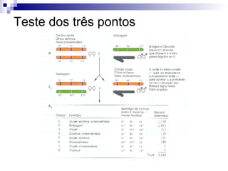 Teste dos três pontos 