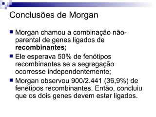Conclusões de Morgan Morgan chamou a combinação não-parental de genes ligados de  recombinantes ; Ele esperava 50% de fenótipos recombinantes se a segregação ocorresse independentemente; Morgan observou 900/2.441 (36,9%) de fenétipos recombinantes. Então, concluiu que os dois genes devem estar ligados. 
