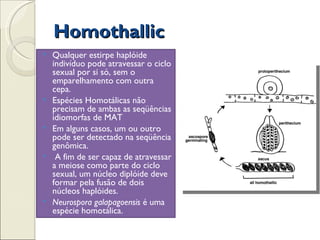 Homothallic
   Qualquer estirpe haplóide
    indivíduo pode atravessar o ciclo
    sexual por si só, sem o
    emparelhamento com outra
    cepa.
   Espécies Homotálicas não
    precisam de ambas as seqüências
    idiomorfas de MAT
   Em alguns casos, um ou outro
    pode ser detectado na seqüência
    genômica.
    A fim de ser capaz de atravessar
    a meiose como parte do ciclo
    sexual, um núcleo diplóide deve
    formar pela fusão de dois
    núcleos haplóides.
   Neurospora galapagoensis é uma
    espécie homotálica.
 