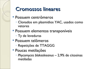 Cromossos lineares
   Possuem centrômeros
    ◦ Clonados em plasmidios YAC, usados como
      vetores
   Possuem elementos transponíveis
    ◦ Ty de leveduras
   Possuem telômeros
    ◦ Repetições de TTAGGG
   Poucas metilações
    ◦ Phycomyces blakesleeanus – 2,9% de citosinas
      metiladas
 