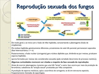 Reprodução sexuada dos fungos




   De modo geral, a se inicia com a fusão de hifas haplóides, caracterizando a plasmogamia (fusão de
    citoplasmas).
   Os núcleos haplóides geneticamente diferentes, provenientes de cada hifa parental, permanecem separados
    (fase heterocariótica, n + n).
   Posteriormente, a fusão nuclear (cariogamia) gera núcleos diplóides que, dividindo-se por meiose, produzem
    esporos haplóides.
   sporos formados por meiose são considerados sexuados (pela variedade decorrente do processo meiótico).
   Algumas curiosidades merecem ser citadas a respeito da fase sexuada da reprodução:
   Antes de ocorrer plasmogamia, é preciso que uma hifa "atraia" a outra. Isso ocorre por meio da produção de
    feromônios, substâncias de "atração sexual" produzidas por hifas compatíveis
   A produção de esporos meióticos, após a ocorrência de cariogamia, se dá em estruturas especiais,
    freqüentemente chamadas de esporângios.
 