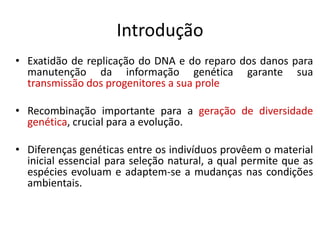 Introdução
• Exatidão de replicação do DNA e do reparo dos danos para
manutenção da informação genética garante sua
transmissão dos progenitores a sua prole
• Recombinação importante para a geração de diversidade
genética, crucial para a evolução.
• Diferenças genéticas entre os indivíduos provêem o material
inicial essencial para seleção natural, a qual permite que as
espécies evoluam e adaptem-se a mudanças nas condições
ambientais.
 