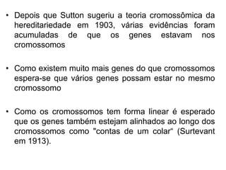 • Depois que Sutton sugeriu a teoria cromossômica da
hereditariedade em 1903, várias evidências foram
acumuladas de que os genes estavam nos
cromossomos
• Como existem muito mais genes do que cromossomos
espera-se que vários genes possam estar no mesmo
cromossomo
• Como os cromossomos tem forma linear é esperado
que os genes também estejam alinhados ao longo dos
cromossomos como "contas de um colar“ (Surtevant
em 1913).
 