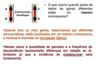 • O que ocorre quando pares de
alelos de genes diferentes
estão no mesmo
cromossomo?
Cromossomos
Homólogos
aA
B b
 